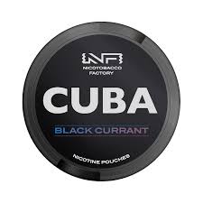 CUBA - BLACK CURRANT BLACK LINE